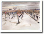 Holiday Vineyard cards